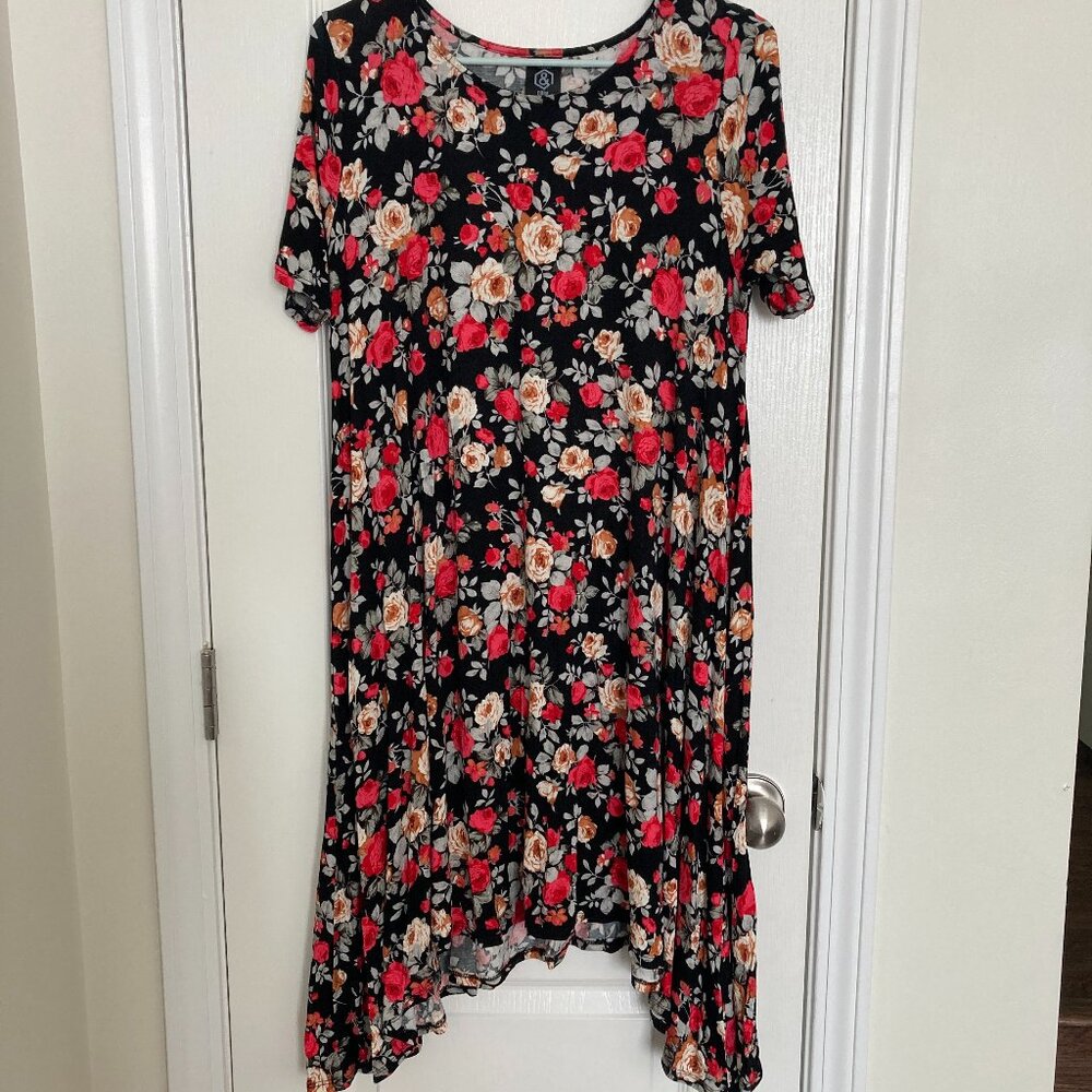 Agnes & Dora Black and Red Floral Joplin Dress Size M
